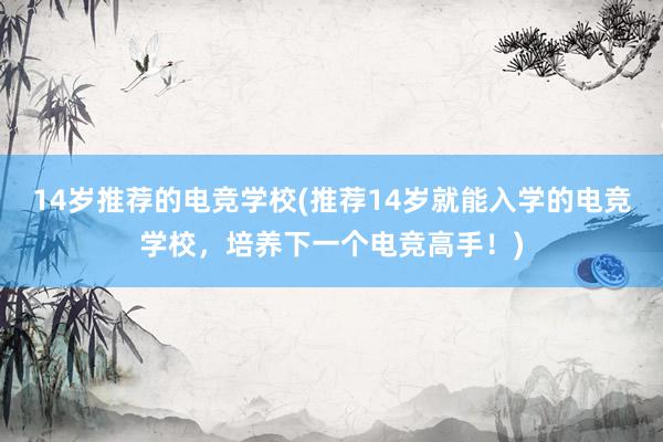 14岁推荐的电竞学校(推荐14岁就能入学的电竞学校，培养下一个电竞高手！)