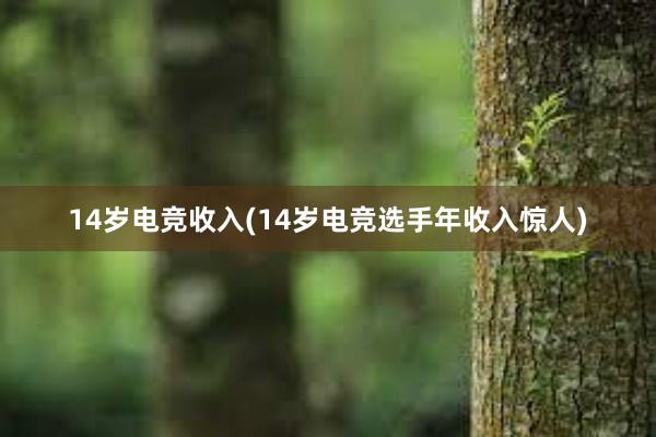 14岁电竞收入(14岁电竞选手年收入惊人)