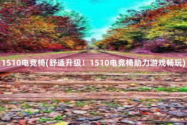 1510电竞椅(舒适升级！1510电竞椅助力游戏畅玩)