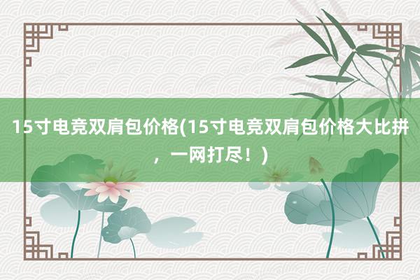 15寸电竞双肩包价格(15寸电竞双肩包价格大比拼，一网打尽！)