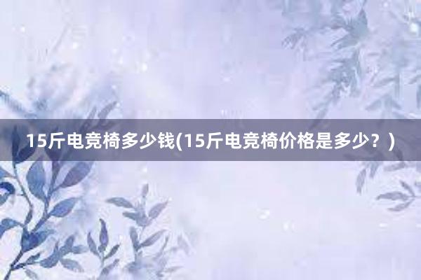 15斤电竞椅多少钱(15斤电竞椅价格是多少？)