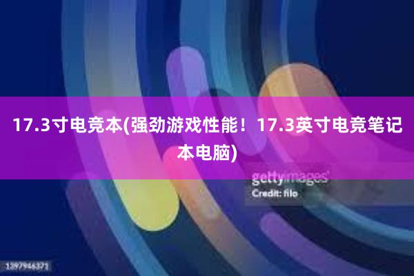 17.3寸电竞本(强劲游戏性能！17.3英寸电竞笔记本电脑)