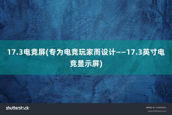 17.3电竞屏(专为电竞玩家而设计——17.3英寸电竞显示屏)