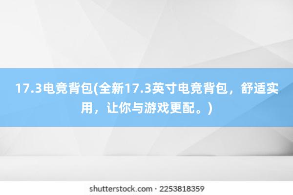 17.3电竞背包(全新17.3英寸电竞背包，舒适实用，让你与游戏更配。)