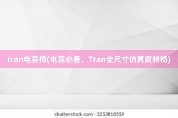 tran电竞椅(电竞必备，Tran全尺寸仿真皮转椅)