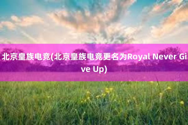 北京皇族电竞(北京皇族电竞更名为Royal Never Give Up)