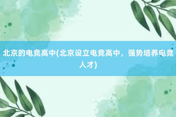 北京的电竞高中(北京设立电竞高中，强势培养电竞人才)