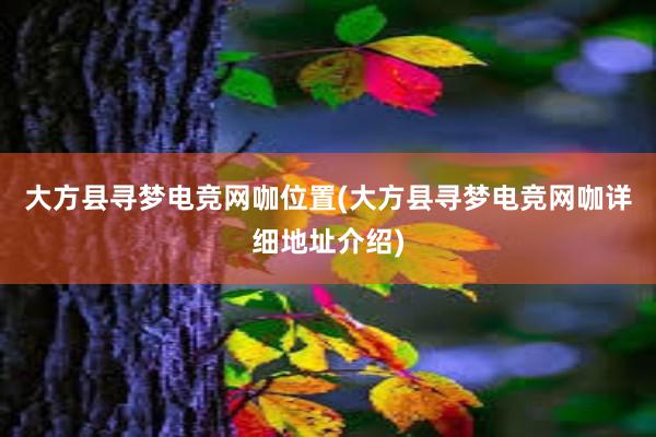 大方县寻梦电竞网咖位置(大方县寻梦电竞网咖详细地址介绍)