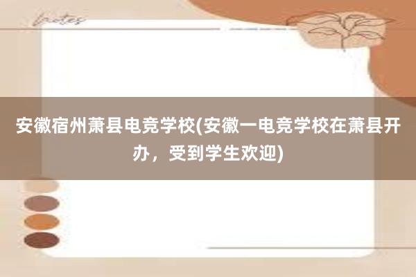 安徽宿州萧县电竞学校(安徽一电竞学校在萧县开办，受到学生欢迎)