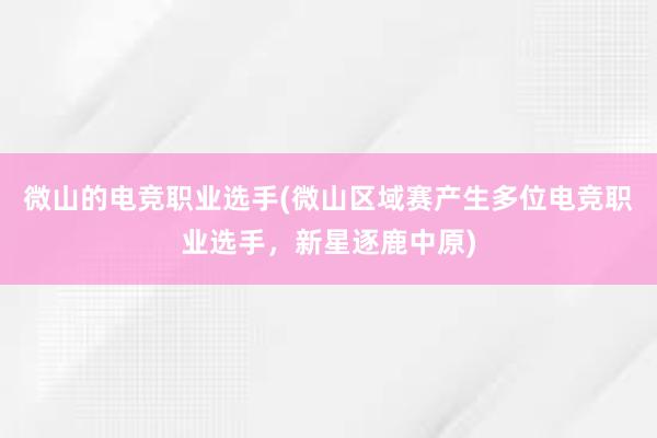 微山的电竞职业选手(微山区域赛产生多位电竞职业选手，新星逐鹿中原)