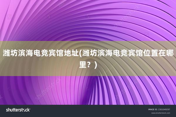 潍坊滨海电竞宾馆地址(潍坊滨海电竞宾馆位置在哪里？)