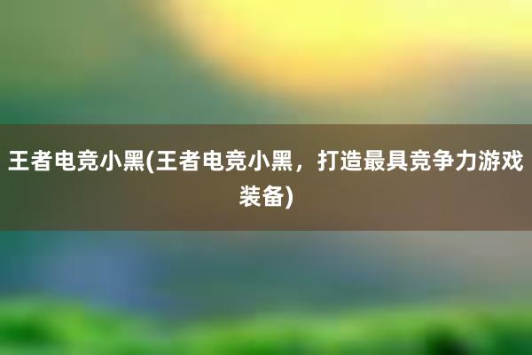 王者电竞小黑(王者电竞小黑，打造最具竞争力游戏装备)