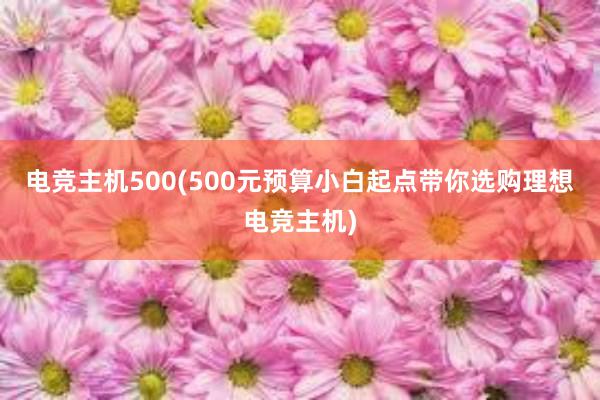 电竞主机500(500元预算小白起点带你选购理想电竞主机)