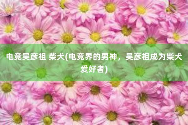 电竞吴彦祖 柴犬(电竞界的男神，吴彦祖成为柴犬爱好者)