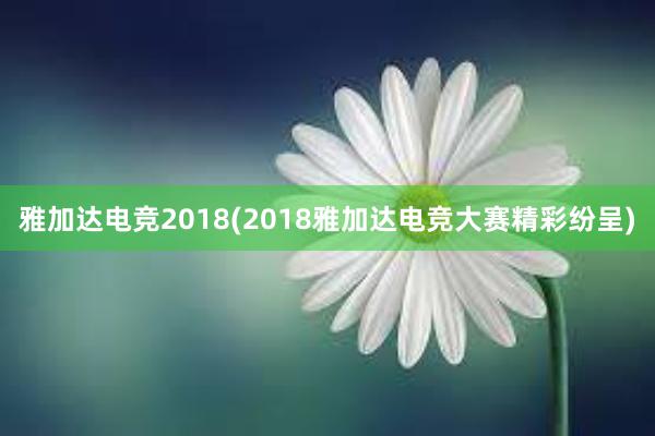 雅加达电竞2018(2018雅加达电竞大赛精彩纷呈)