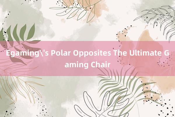 Egaming's Polar Opposites The Ultimate Gaming Chair