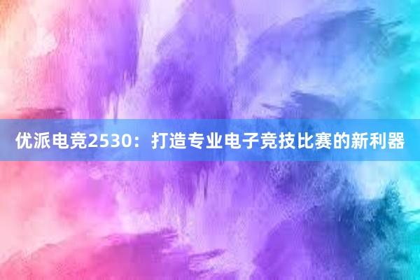 优派电竞2530：打造专业电子竞技比赛的新利器