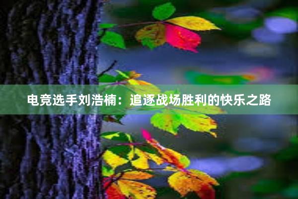 电竞选手刘浩楠：追逐战场胜利的快乐之路