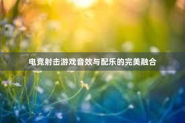 电竞射击游戏音效与配乐的完美融合