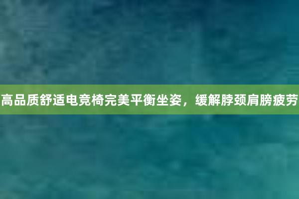 高品质舒适电竞椅完美平衡坐姿，缓解脖颈肩膀疲劳