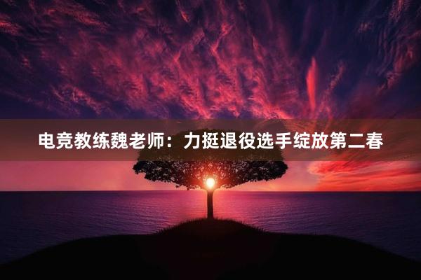 电竞教练魏老师：力挺退役选手绽放第二春