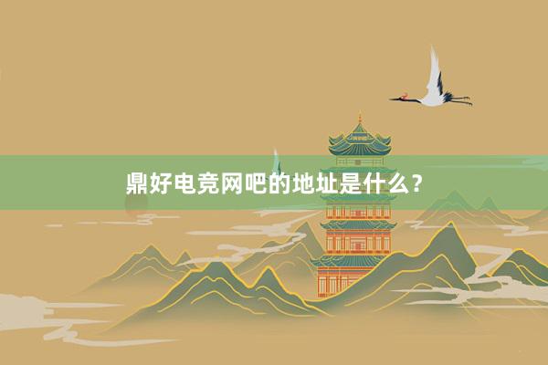 鼎好电竞网吧的地址是什么？